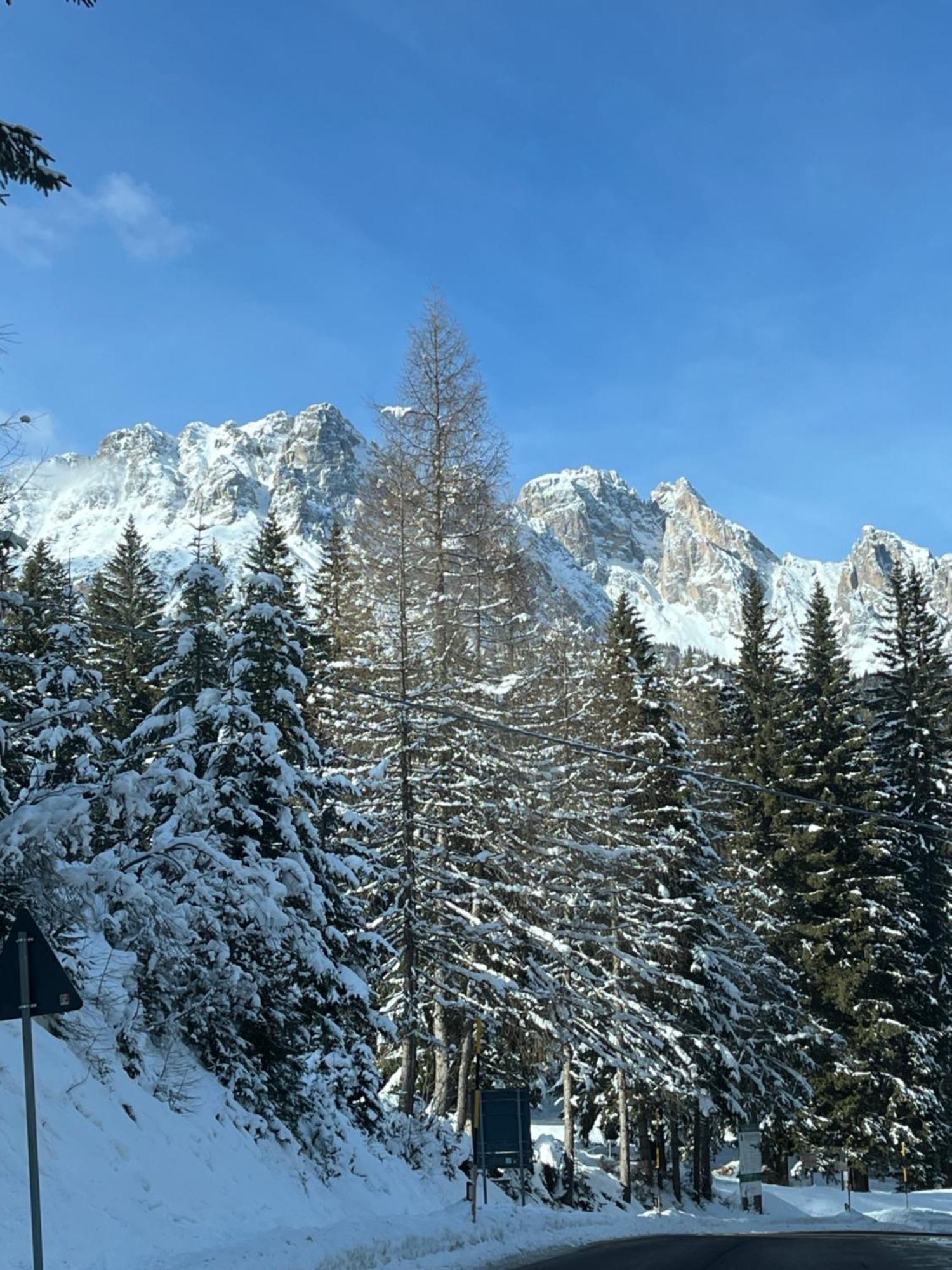 Chalet Delle Dolomiti ปีแอเว ดี กาโดเร ภายนอก รูปภาพ
